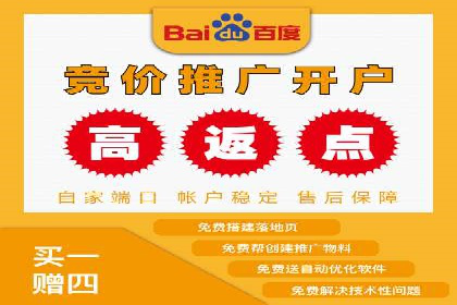 百度推广策略揭秘：某行业领头羊的成功经验